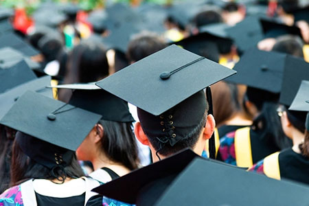 Система образования